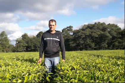 Cristián Klingbeil es productor y prestador de servicios de Misiones en yerba mate y té