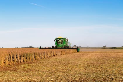 Hay una tendencia global que otorga cada vez mayor importancia a los insumos más amigables con el ambiente