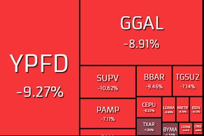 Las acciones argentinas caen hasta 13%